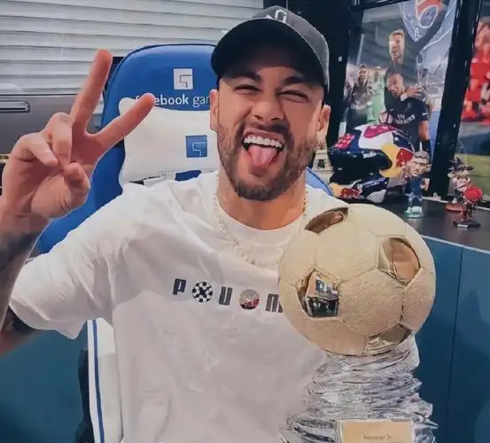 年這一決定 年這一決定