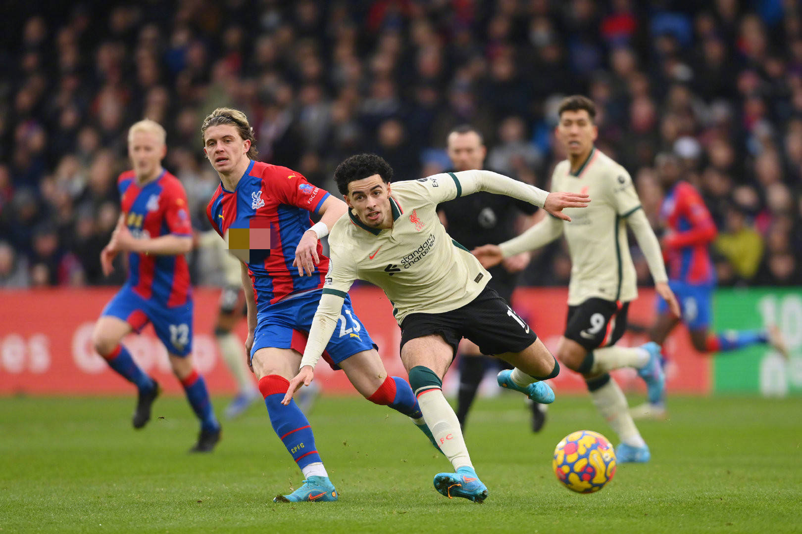 业生涯可谓 业生涯可谓